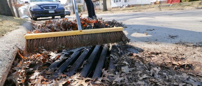 yard waste